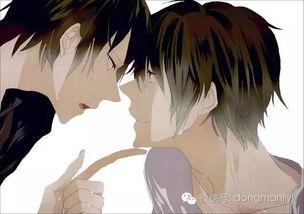 网红的耽美文,从耽美文到现实爱情的甜蜜旅程